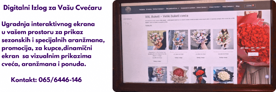 Digitalni Izlog Reklama